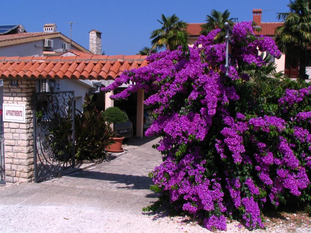 Apartments Nela Poreč Kültér fotó